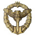 Beret Brass Intelligence Insignia of Airborne troops