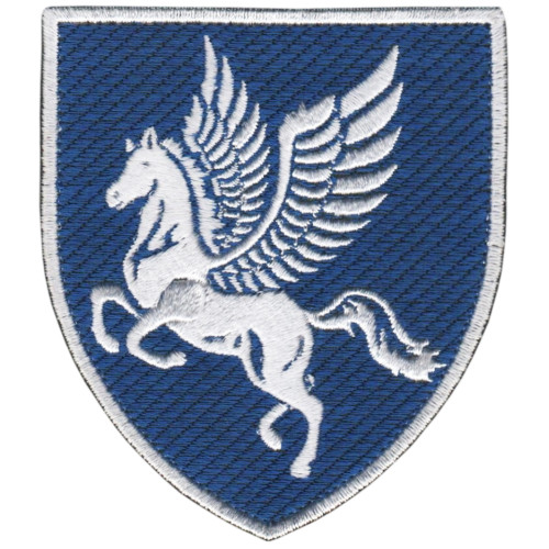 Abzeichen der 456. Transportfliegerbrigade der Luftwaffe der Ukraine