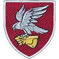 421st Separate Unmanned Systems Battalion Patch of the Air Assault Forces