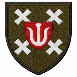 Нарукавний знак 432 окремого батальйону безпілотних систем SKYLINE