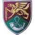 71st Jaeger Brigade Patch of the Ukrainian Air Assault Troops 71st Jaeger Brigade Patch of the Ukrainian Air Assault Troops