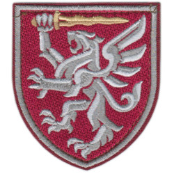 80th Separate Air Assault Brigade Shoulder Patch. Ukraine