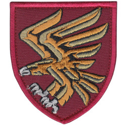 95th Separate Air Assault Brigade Shoulder Patch. Ukraine