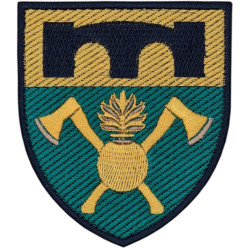 16th Separate Support Regiment Shoulder Patch. Ukraine
