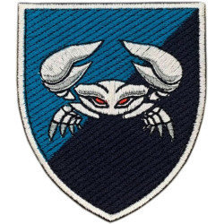 34th Separate Marine Brigade of Ukraine Patch