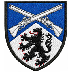 11th Infantry Battalion Patch of the Armed Forces of Ukraine
