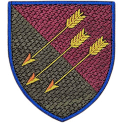 118th Separate Mechanized Brigade Patch of the Armed Forces of Ukraine #2