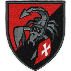 155th Separate Mechanized Brigade Patch of the Armed Forces of Ukraine 155th Separate Mechanized Brigade Patch of the Armed Forces of Ukraine