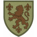 2nd Mechanized Battalion Patch of the 155th Separate Mechanized Brigade