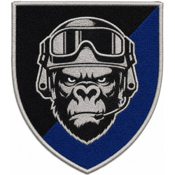 1st Mechanized Battalion Patch of the 42nd Separate Mechanized Brigade 1st Mechanized Battalion Patch of the 42nd Separate Mechanized Brigade