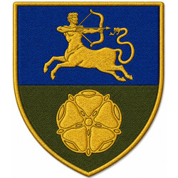 456th Infantry Battalion Patch of the Armed Forces of Ukraine 456th Infantry Battalion Patch of the Armed Forces of Ukraine