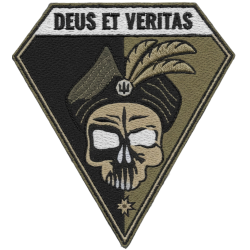 5th Infantry Battalion Patch of the Armed Forces of Ukraine