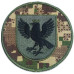 IVANO FRANKOVSK National Guard of Ukraine Patch