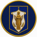 NOVI PETRIVTSI National Guard of Ukraine Patch