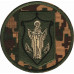 NOVI PETRIVTSI National Guard of Ukraine Patch