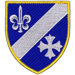 120th Separate Reconnaissance Battalion Patch