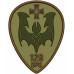 129th Separate Reconnaissance Battalion Patch