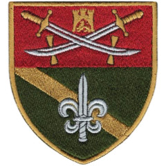 120th Separate Reconnaissance Battalion Patch