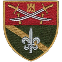 53th Separate Reconnaissance Battalion Patch