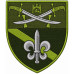 120th Separate Reconnaissance Battalion Patch