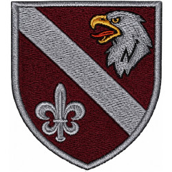 8th Separate Reconnaissance Battalion Shoulder Patch of the Airborne Assault Troops