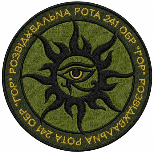 Reconnaissance Company of the 241st Separate Territorial Defense Brigade of Ukraine