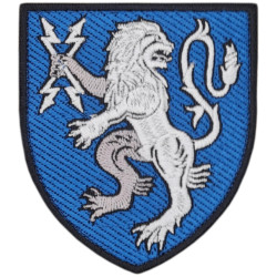 121st Signal Regiment Patch. Ukraine