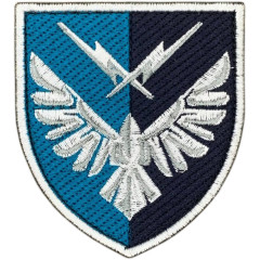 319th separate information and telecommunications node Patch
