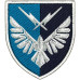 319th separate information and telecommunications node Patch