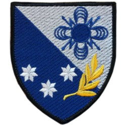 57th Signal Regiment Patch. Ukraine