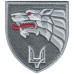 142nd Training Center of Ukraine Special Operations Forces