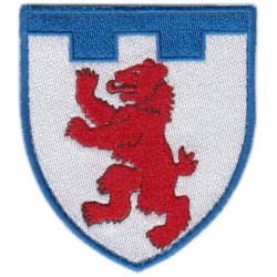 101st Separate Territorial Defense Brigade Patch. Zakarpattya region (Uzhhorod)