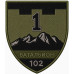 1st Separete Battalion Patch of 102nd Separate Brigade of the Territorial Defense Forces of Ukraine