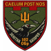 Abzeichen der Flugabwehrbatterie der 102. selbstständigen Brigade der Territorialverteidigungskräfte der Ukraine