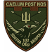 Abzeichen der Flugabwehrbatterie der 102. selbstständigen Brigade der Territorialverteidigungskräfte der Ukraine