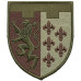 Abzeichen des 1. Bataillons der 103. Selbstständigen Brigade der Territorialverteidigungskräfte der Ukraine Abzeichen des 1. Bataillons der 103. Selbstständigen Brigade der Territorialverteidigungskräfte der Ukraine