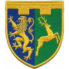 7th Separete Battalion Patch of 103rd Separate Brigade of the Territorial Defense Forces of Ukraine