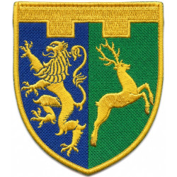 7th Separete Battalion Patch of 103rd Separate Brigade of the Territorial Defense Forces of Ukraine 7th Separete Battalion Patch of 103rd Separate Brigade of the Territorial Defense Forces of Ukraine
