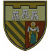 80th Separete Battalion Patch of 105th Separate Brigade of the Territorial Defense Forces of Ukraine 80th Separete Battalion Patch of 105th Separate Brigade of the Territorial Defense Forces of Ukraine