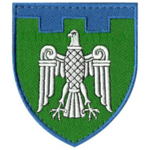 107th Separate Territorial Defense Brigade Patch. Chernovetsky region 107th Separate Territorial Defense Brigade Patch. Chernovetsky region