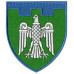 107th Separate Territorial Defense Brigade Patch. Chernovetsky region 107th Separate Territorial Defense Brigade Patch. Chernovetsky region
