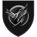 1st Unmanned Systems Battalion "Black Swift" 1st Unmanned Systems Battalion "Black Swift"