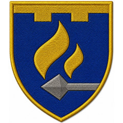 11th Separate Battalion Patch of the 113th Separate Brigade of the Territorial Defense Forces of Ukraine