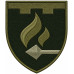 11th Separate Battalion Patch of the 113th Separate Brigade of the Territorial Defense Forces of Ukraine 11th Separate Battalion Patch of the 113th Separate Brigade of the Territorial Defense Forces of Ukraine