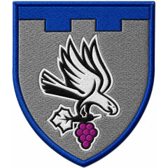 122nd Separate Battalion Patch of the 113th Separate Brigade of the Territorial Defense Forces of Ukraine