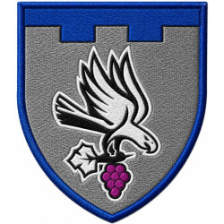 122nd Separate Battalion Patch of the 113th Separate Brigade of the Territorial Defense Forces of Ukraine