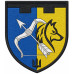 209th Battalion, 113rd Separate Brigade Patch of the Territorial Defense Forces of Ukraine 209th Battalion, 113rd Separate Brigade Patch of the Territorial Defense Forces of Ukraine