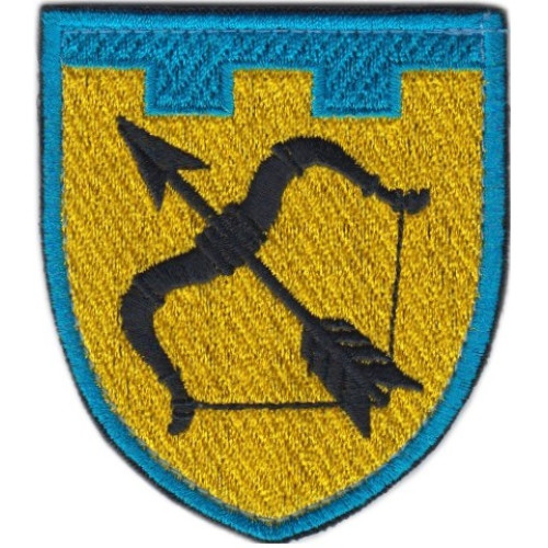 113rd Separate Territorial Defense Brigade Patch