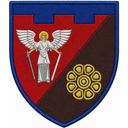 250th Separete Battalion Patch of 114th Separate Brigade of the Territorial Defense Forces of Ukraine