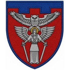 Reconnaissance Company Patch of the 114th Territorial Defense Brigade